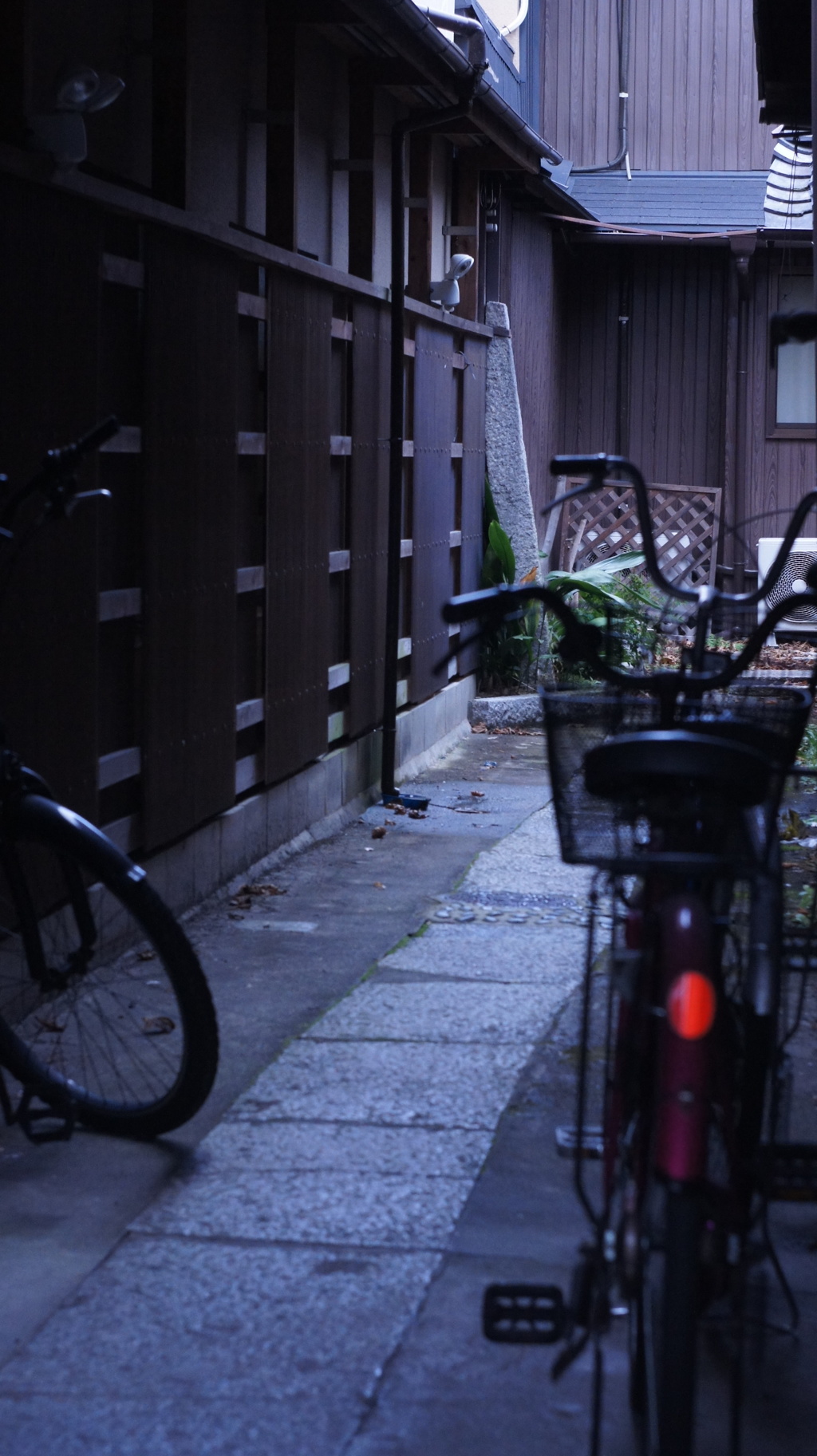 路地