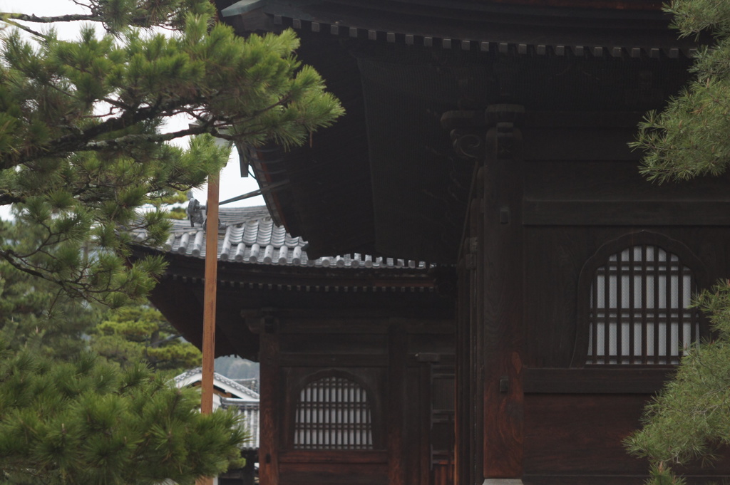 妙心寺
