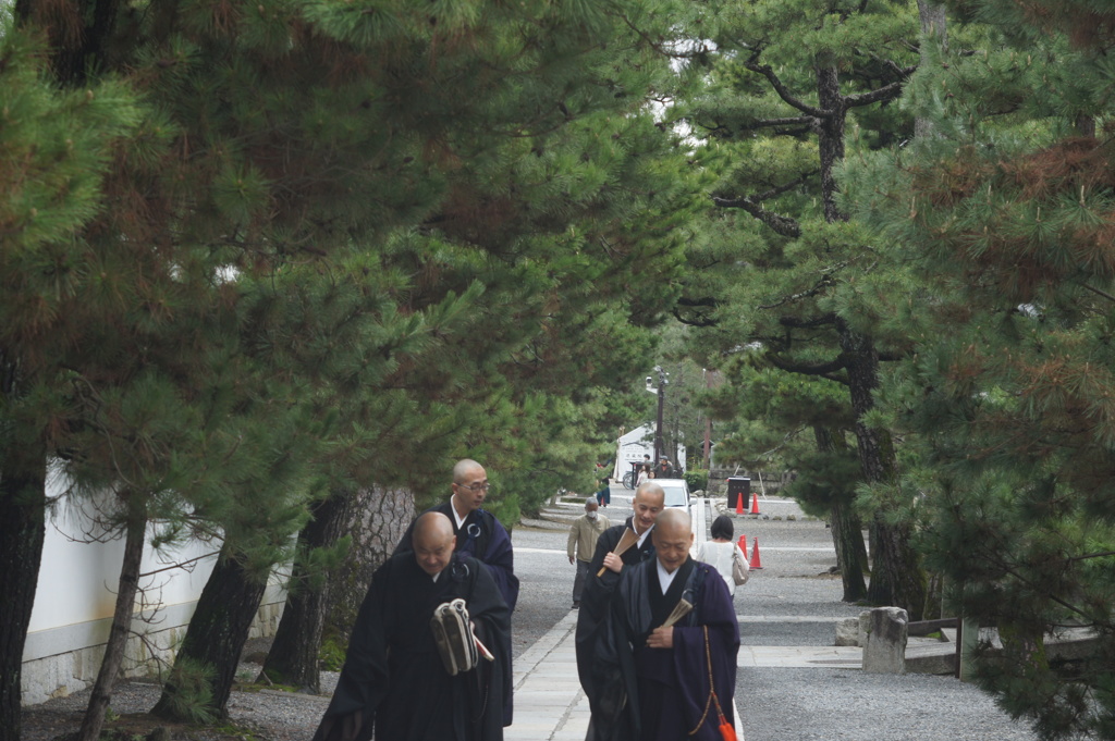 妙心寺