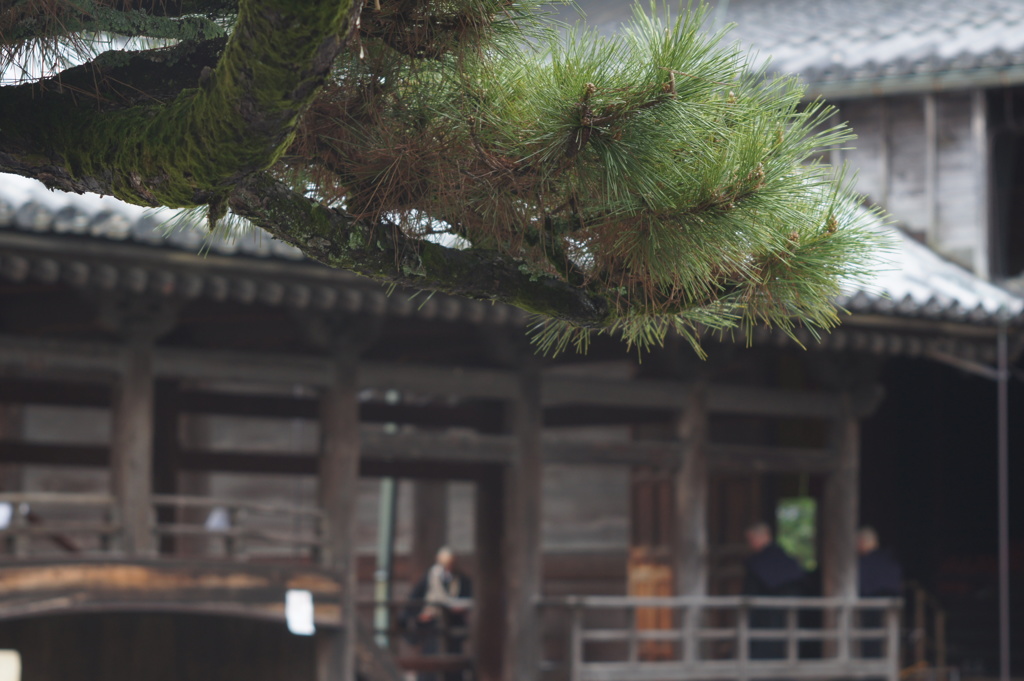 妙心寺