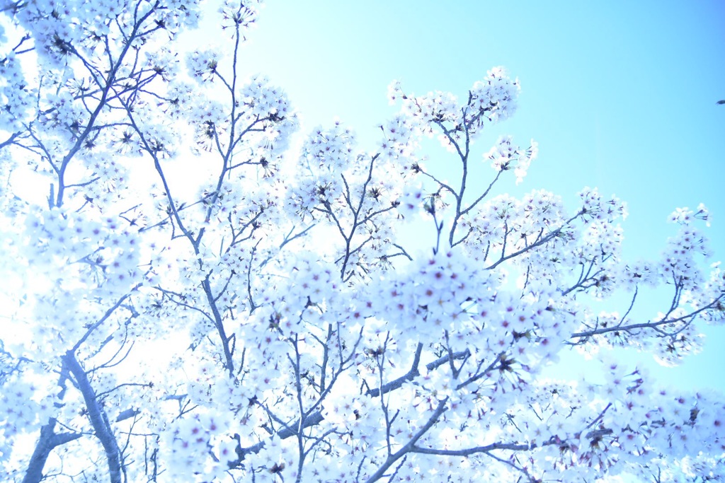 20591DF3-7049-45C3-9AAA-C2045AE45F7B