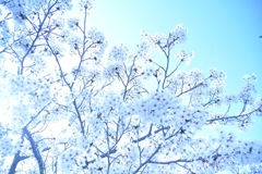 20591DF3-7049-45C3-9AAA-C2045AE45F7B