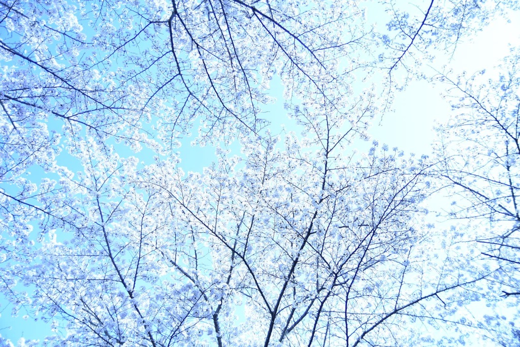 4A66AB1E-909E-4698-A860-B26A7C174872