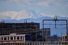 東横線と富士山