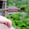 光る指輪 緑の京都