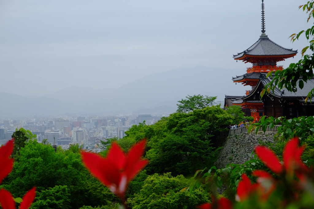 富士の赤、富士の緑