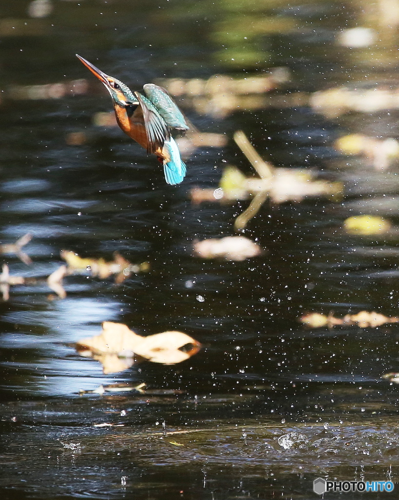 飛び出し４
