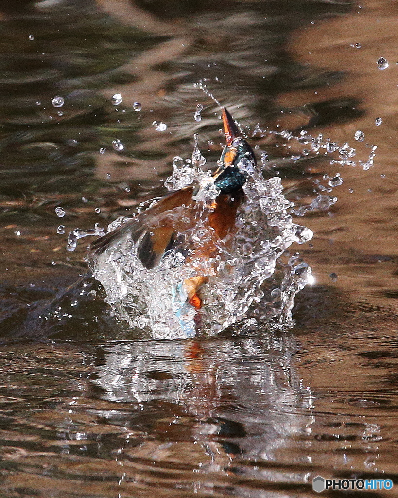 紅葉に染まる水面3