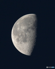 久しぶりのEOS10D 5