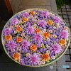 花手水２