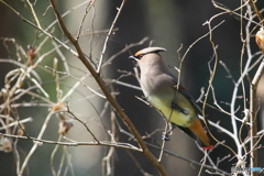 A公園とH公園 4