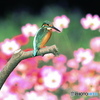 今期最終の花バック１