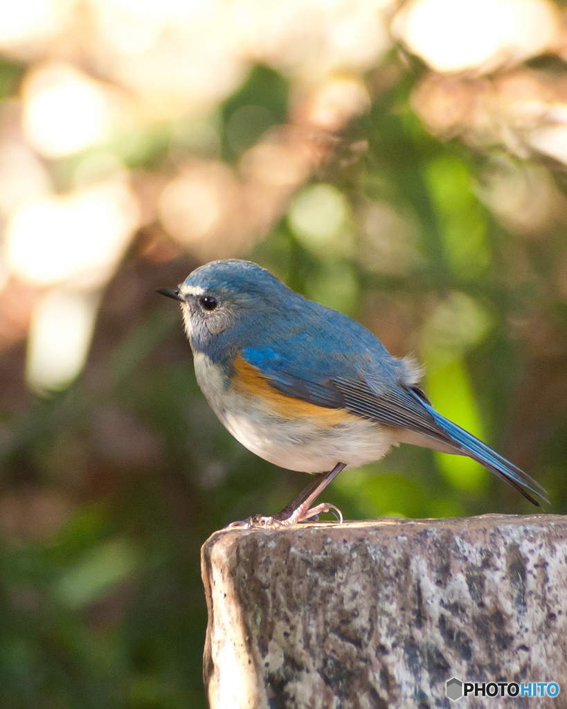 tamron 90-300mm 62D 3