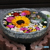 花手水４