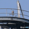 CANON TC-DC58A試写 3  200m