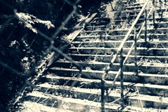 誰も登らない階段