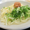 冷やしうどん南高梅風味