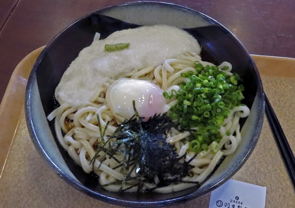 温玉とろろうどん