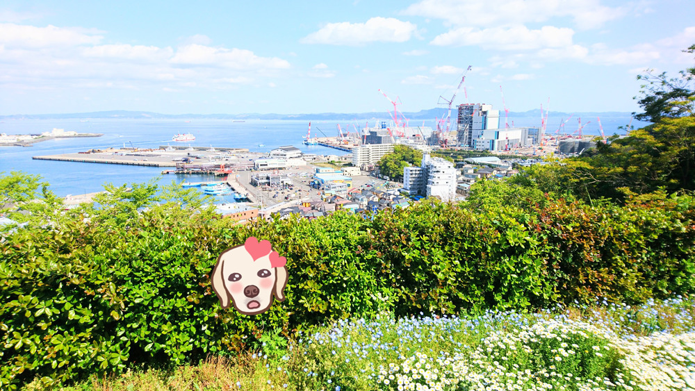 くりはま公園　食堂 風景