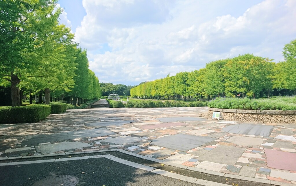 国営昭和記念公園