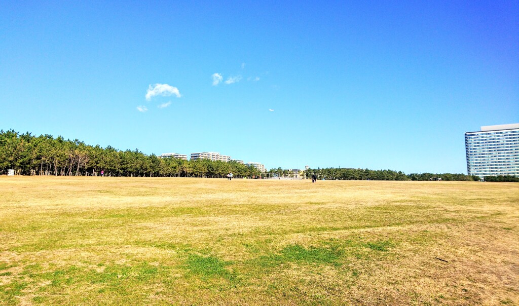 千葉県 浦安市明海 浦安市総合公園