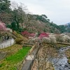 熱海梅園川