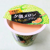 夕張メロン なめらかプリン
