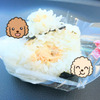 ミニストップ　鮭おにぎり
