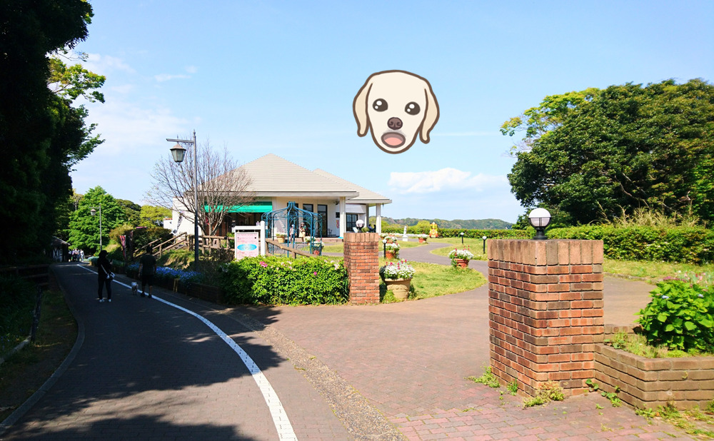 くりはま公園　食堂 入り口