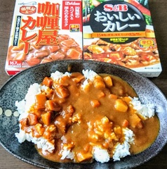 カレー味比べ　ハウス対ＳＢ