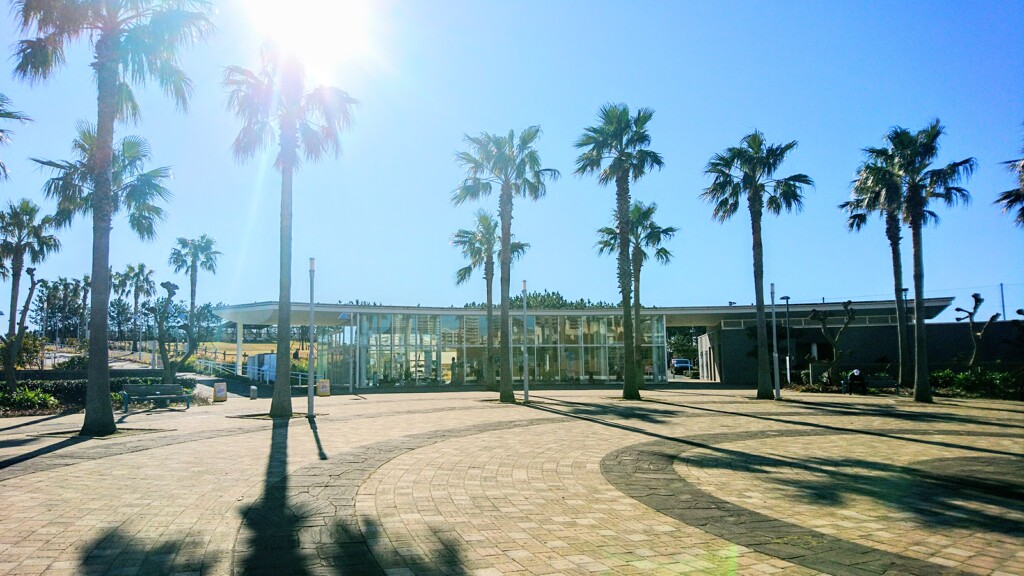 千葉県 浦安市 明海 浦安市総合公園