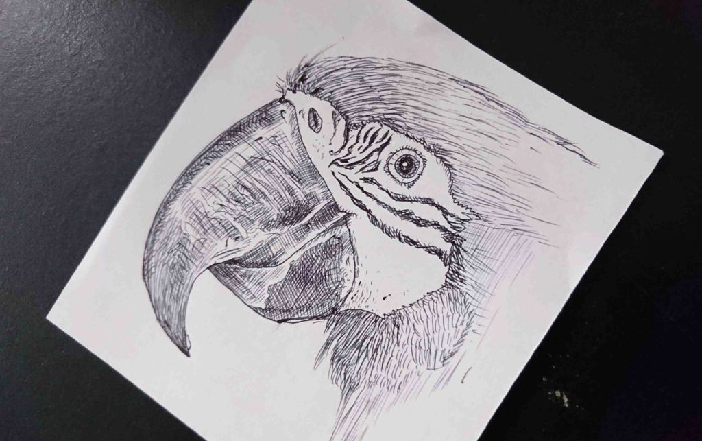 オウムのペン画