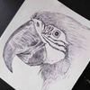 オウムのペン画