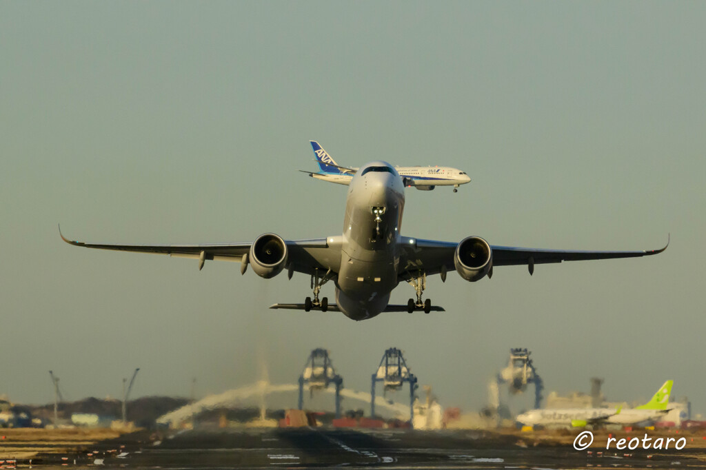 羽田空港①