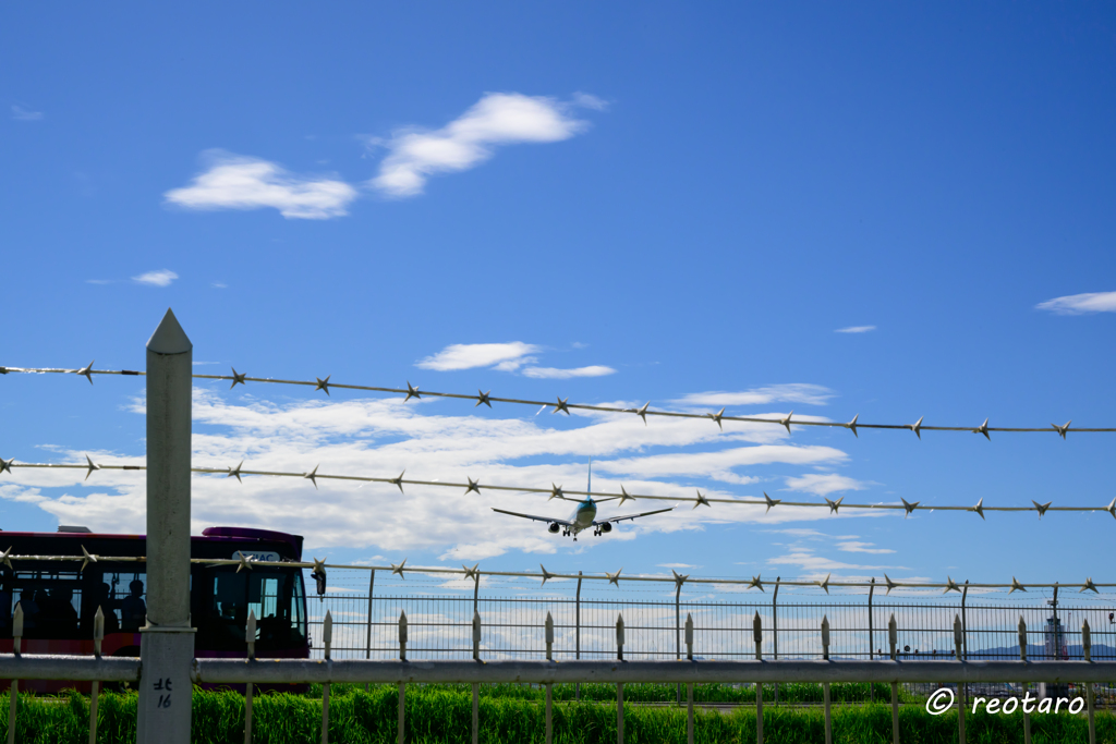 RWY16エンド
