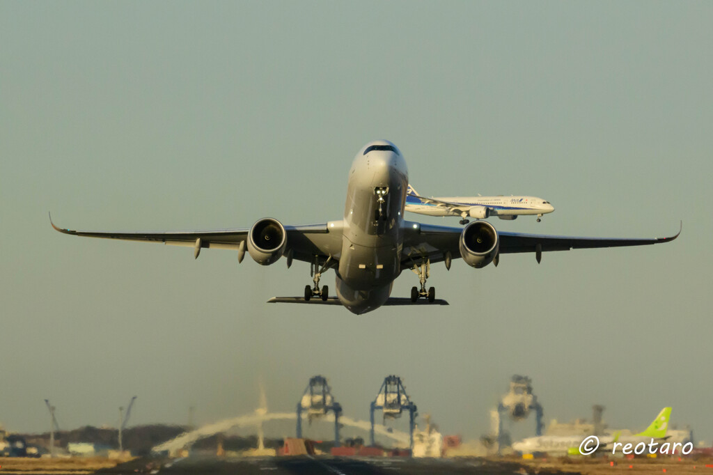 羽田空港②