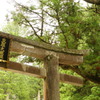 日光東照宮～鳥居