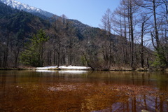 池