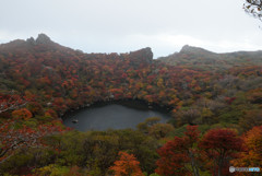 くじゅう　紅葉1