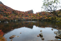 くじゅう　紅葉2