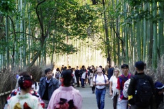 京都-嵐山