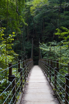 吊り橋　高尾山