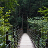 吊り橋　高尾山
