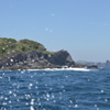 下田旅行9