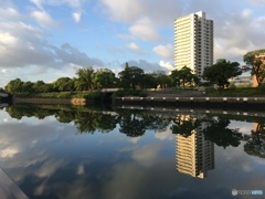今朝の風景