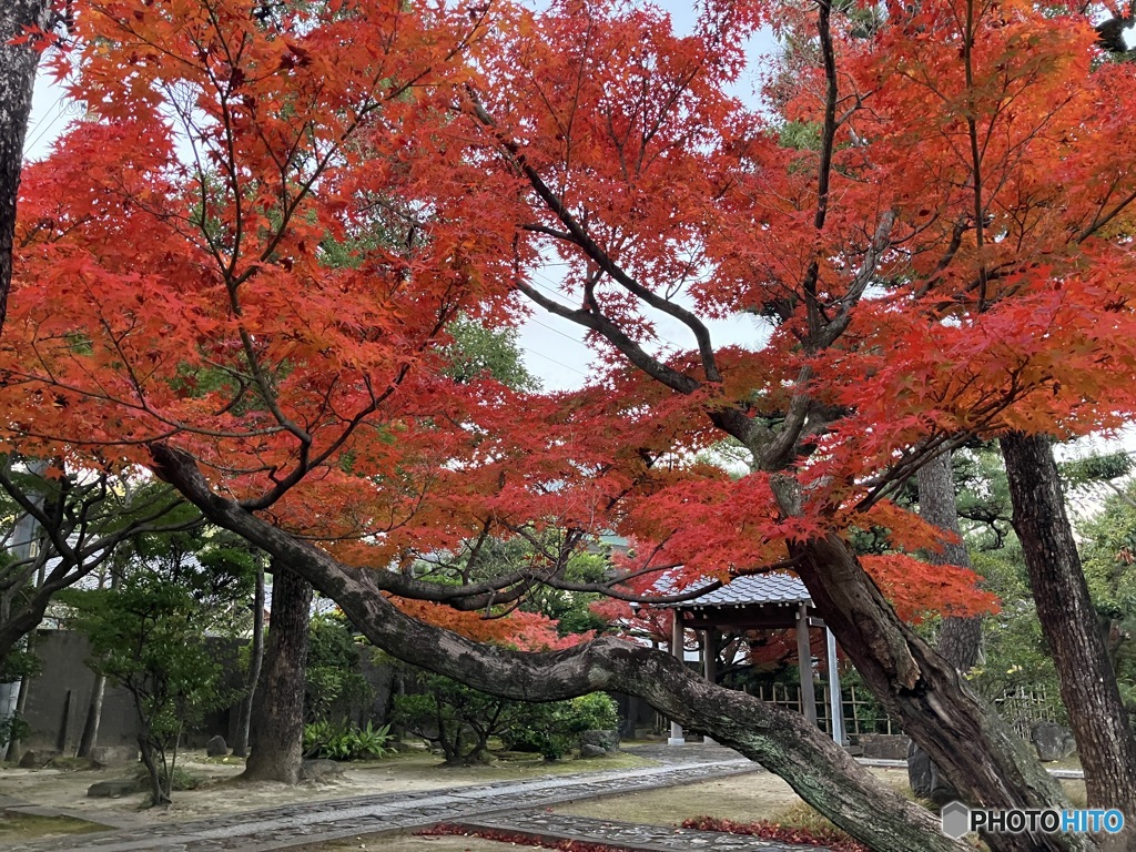 そろそろ見納め