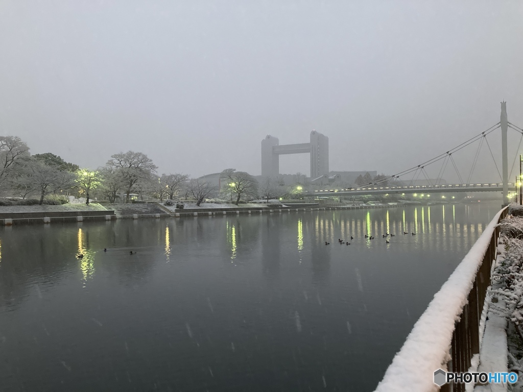 初雪、積もる