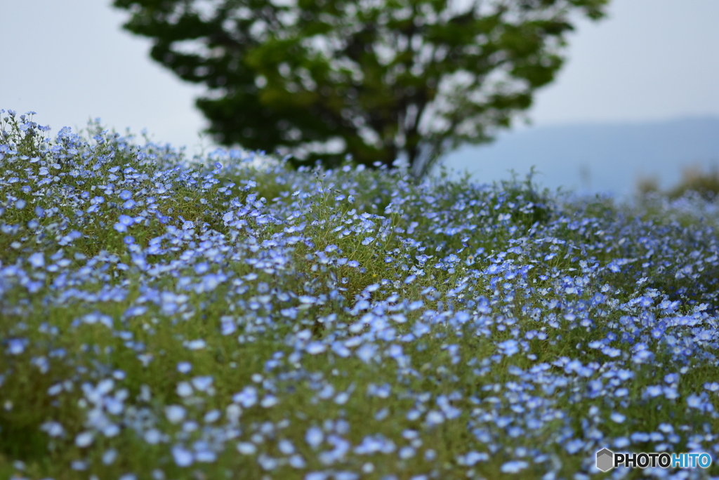 三ツ又池公園にて