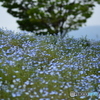 三ツ又池公園にて