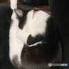 キャット空中3回転